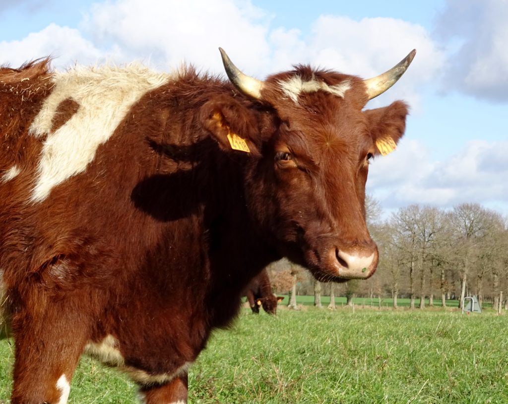 Ferme pédagogique visite Rennes